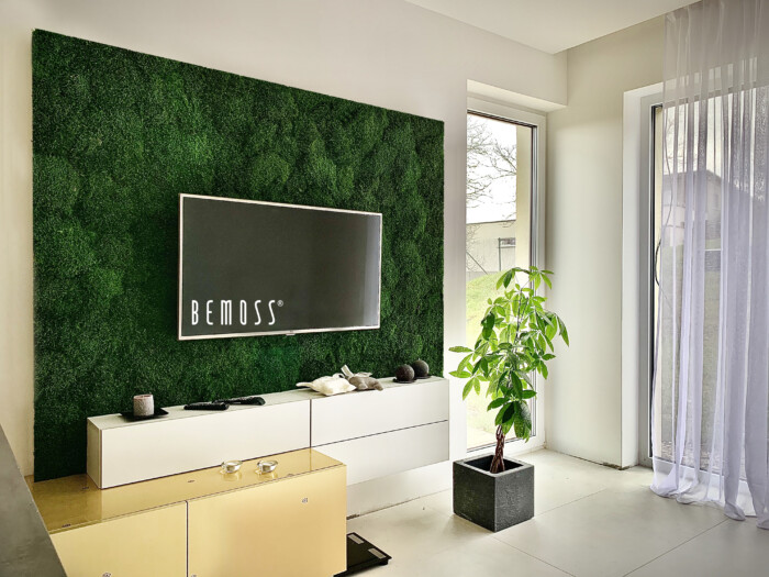 Flatmoss behind TV – residential project