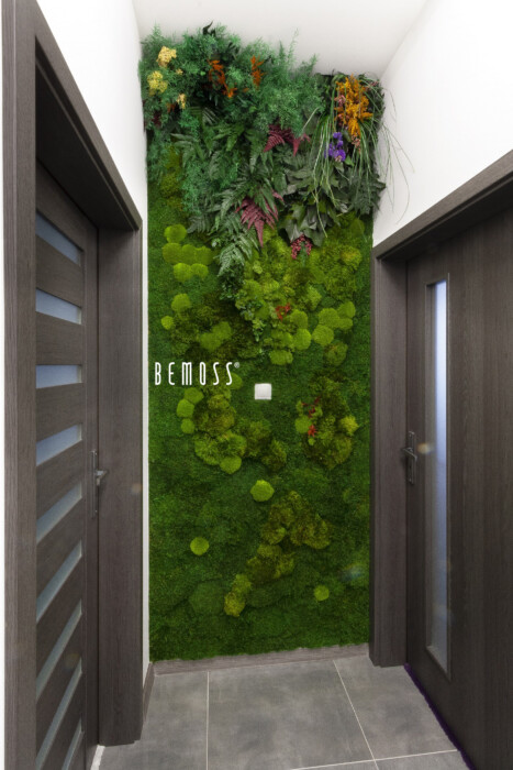 Plant Wall – Residential Project