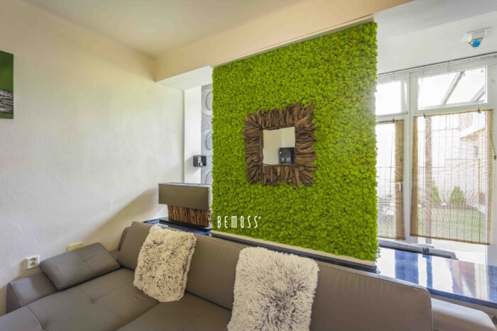 Reindeer moss – residential project