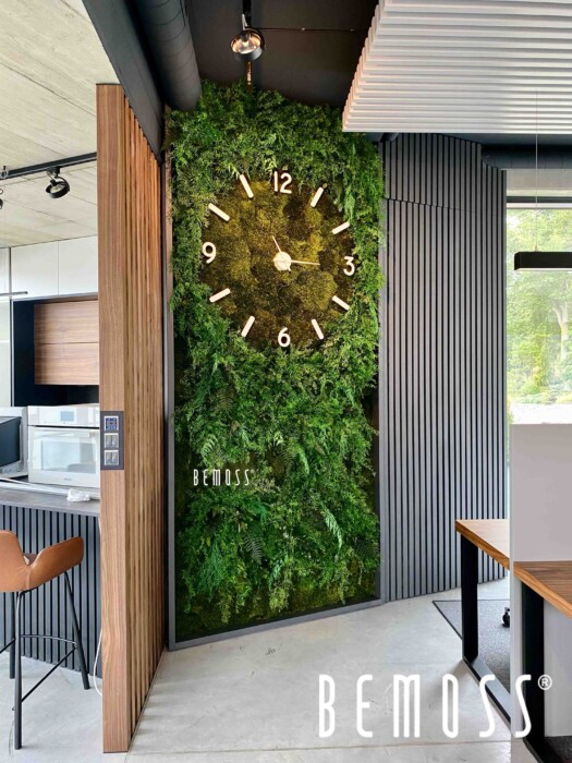 Wall of plants + clock